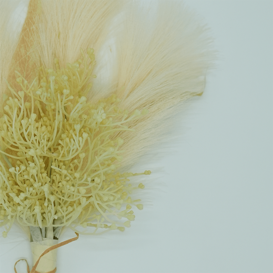 Dazzling Juniper Bunch Dazzling Juniper Bunch Mandaue Foam