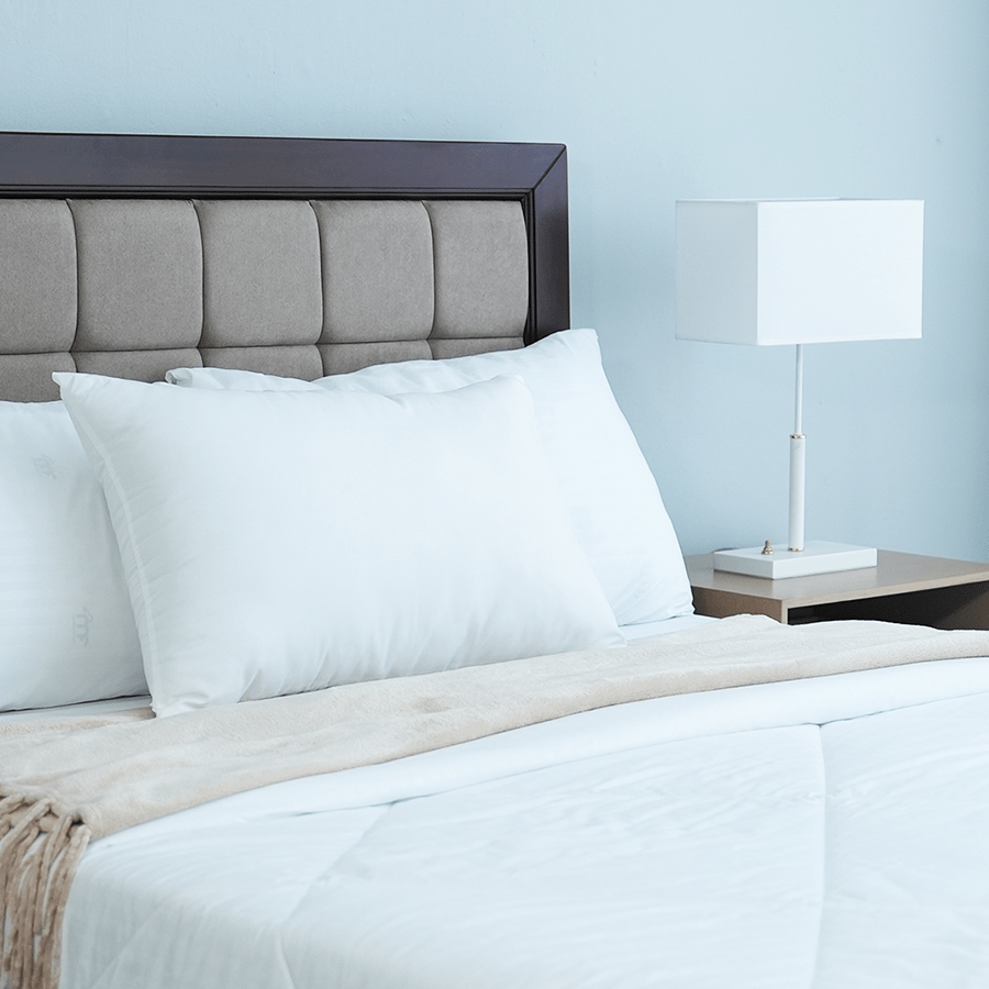 Dreams Pillow Dreams Pillow Mandaue Foam