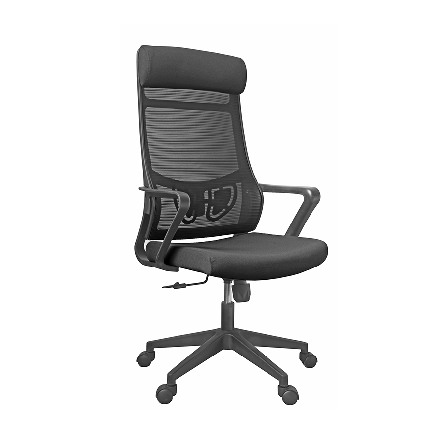 Eliana High Back Office Chair