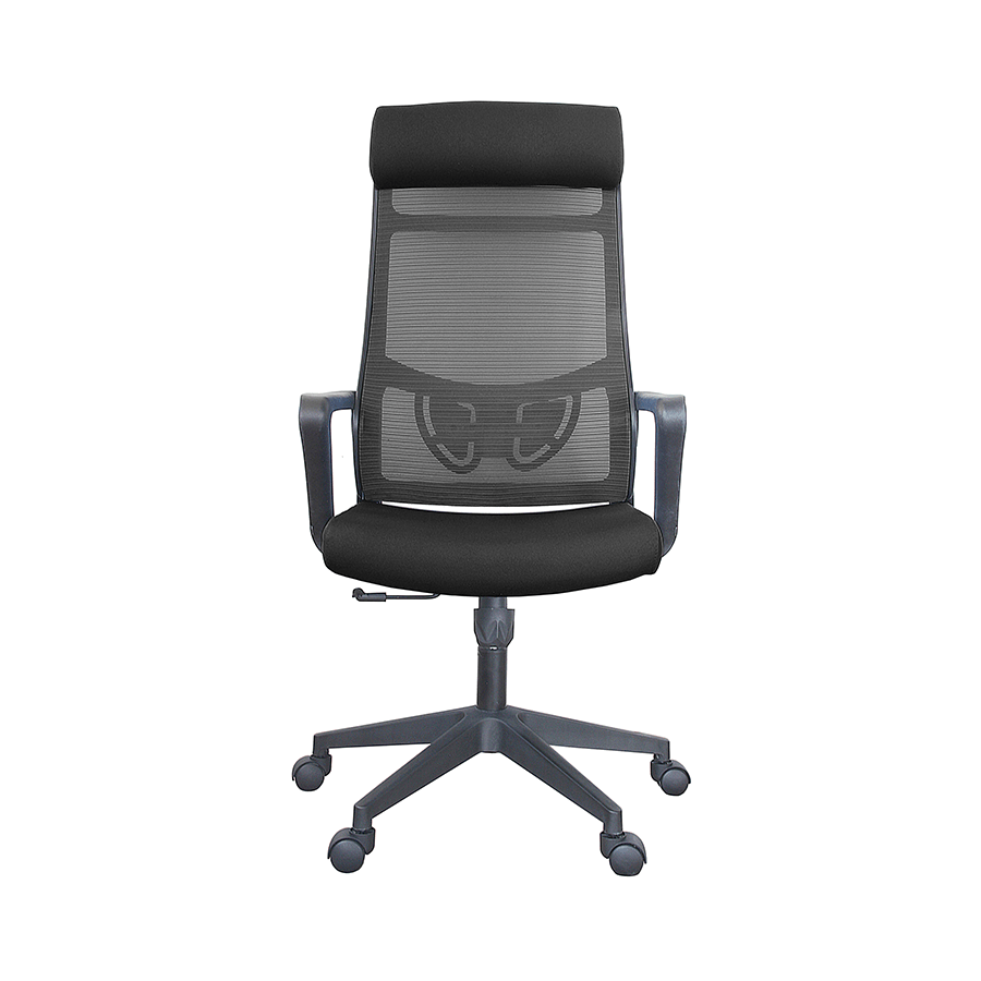 Eliana High Back Office Chair