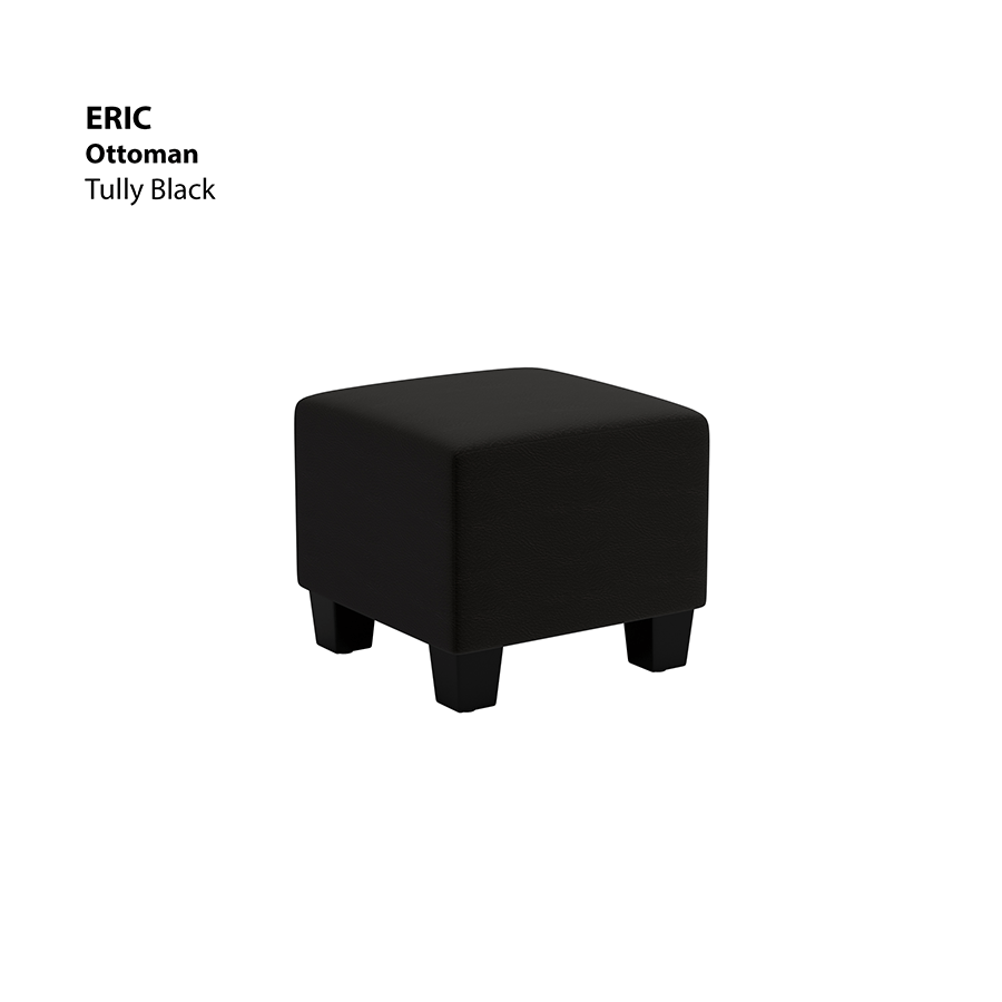MORE ERIC OPTIONS Eric Ottoman Eric Ottoman Leatherette Tully Black Mandaue Foam
