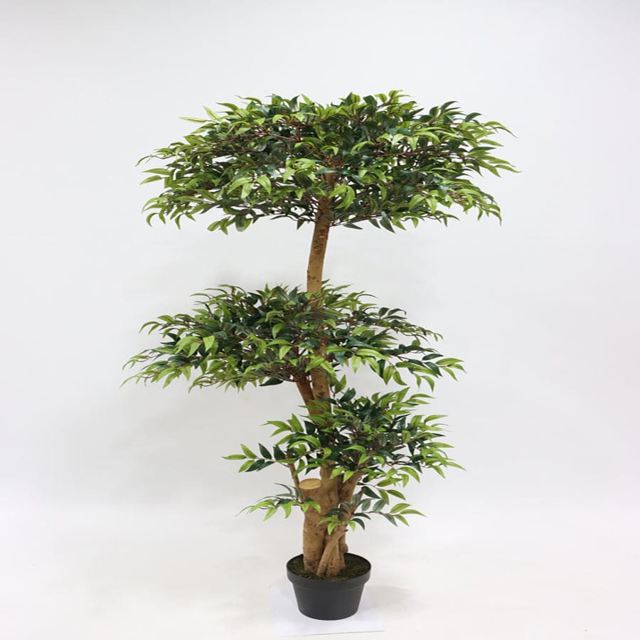 Eucalyptus Topiare Potted Plant 150 cm