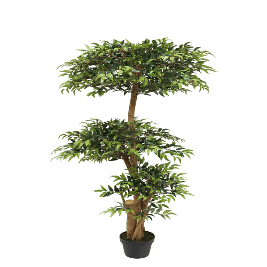 Eucalyptus Topiare Potted Plant 150 cm