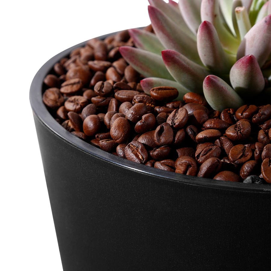 Fria Plastic Black Pot