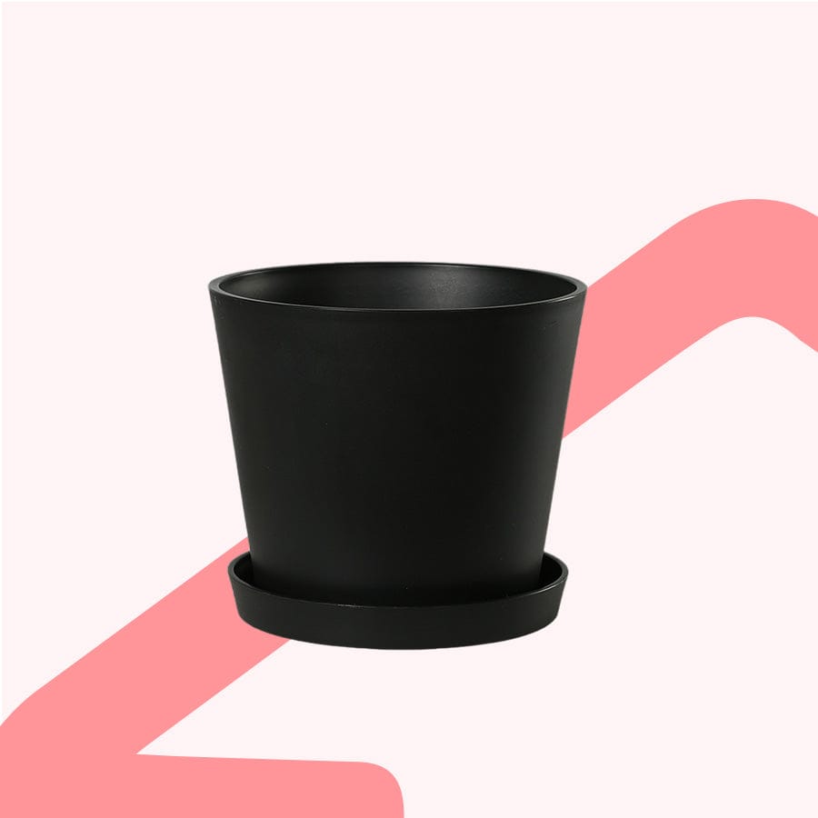 Fria Plastic Black Pot