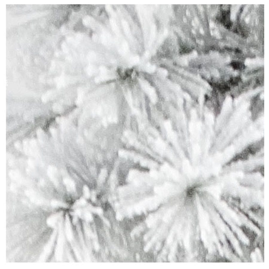 Frosted Scotch Pine Tree 9ft