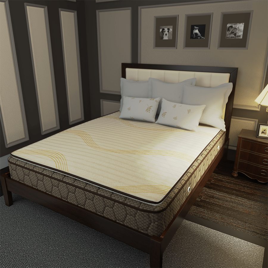 MORE GALA FIRM OPTIONS Gala Firm with Padding Spring Mattress Gala Firm with Padding Spring Mattress Mandaue Foam