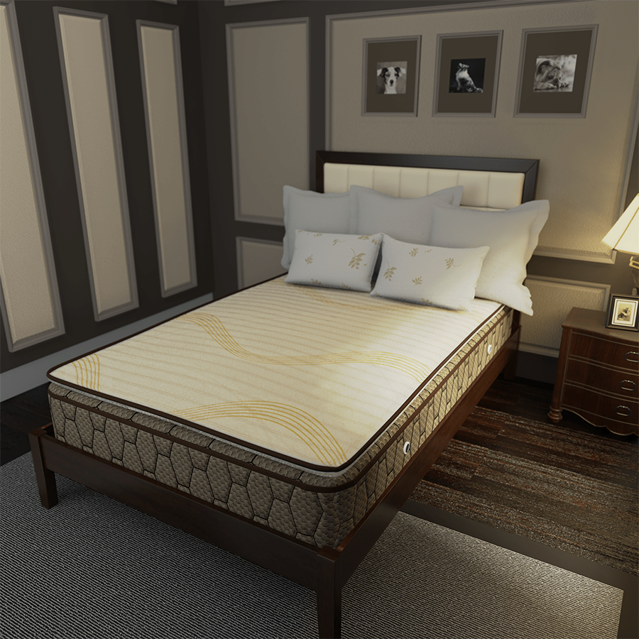 MORE GALA FIRM OPTIONS Gala Firm with Padding Spring Mattress Gala Firm with Padding Spring Mattress Mandaue Foam