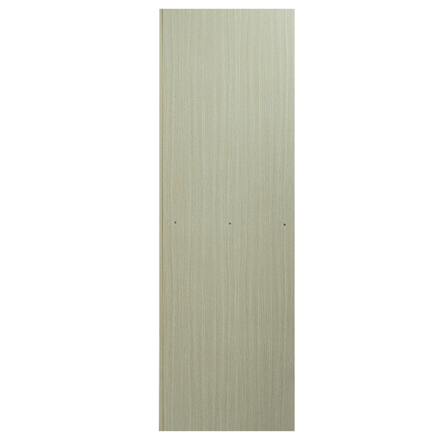 MORE GEORGINE OPTIONS Georgine 2 Door with Mirror Wardrobe Georgine 2 Door with Mirror Wardrobe Mandaue Foam