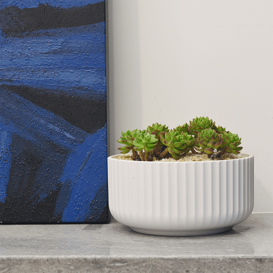 Globular Flat Vase Globular Flat Vase Mandaue Foam