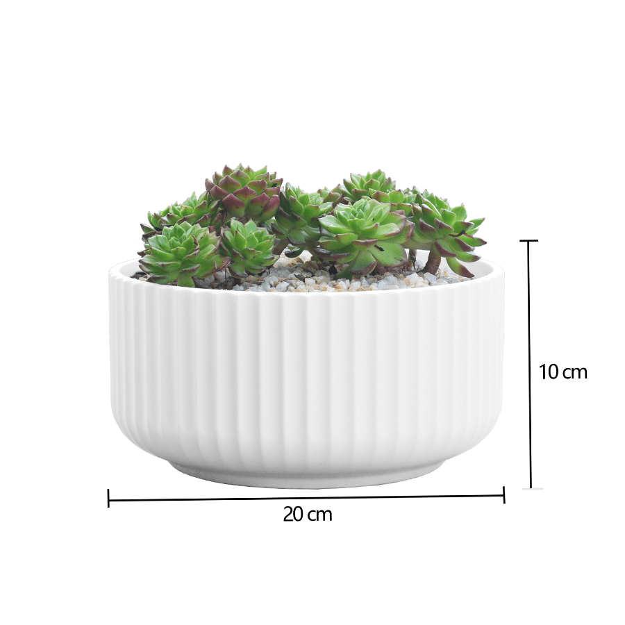 Globular Flat Vase Globular Flat Vase Mandaue Foam