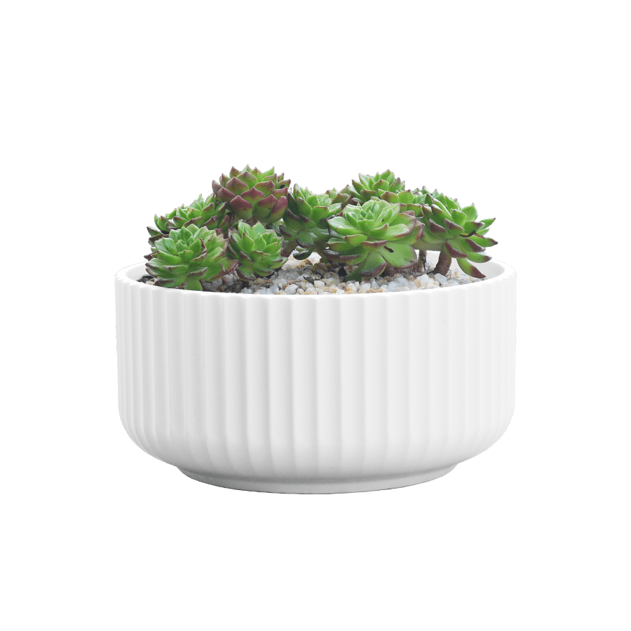 Globular Flat Vase Globular Flat Vase Mandaue Foam