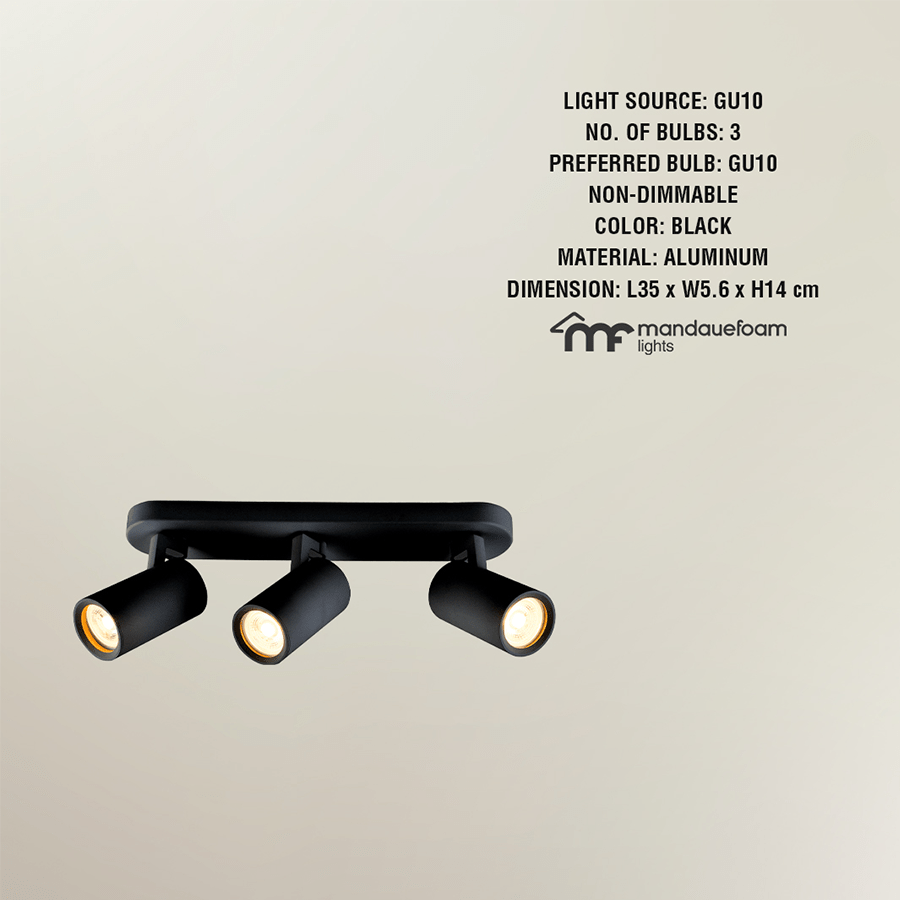 MORE HAKE OPTIONS Hake 3-light Spotlight Hake 3-light Spotlight Black Mandaue Foam