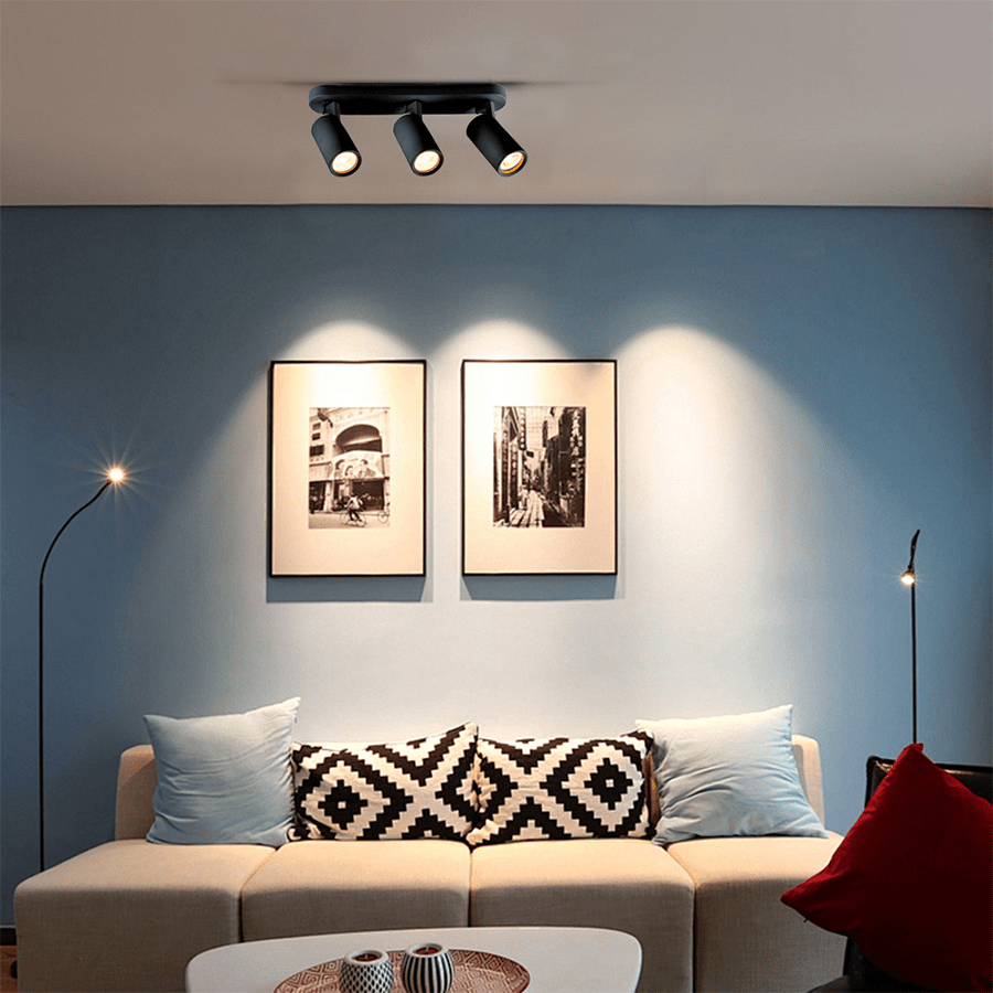 MORE HAKE OPTIONS Hake 3-light Spotlight Hake 3-light Spotlight Black Mandaue Foam