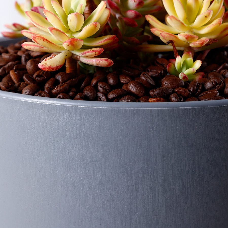 Hallie Plastic Dark Gray Pot