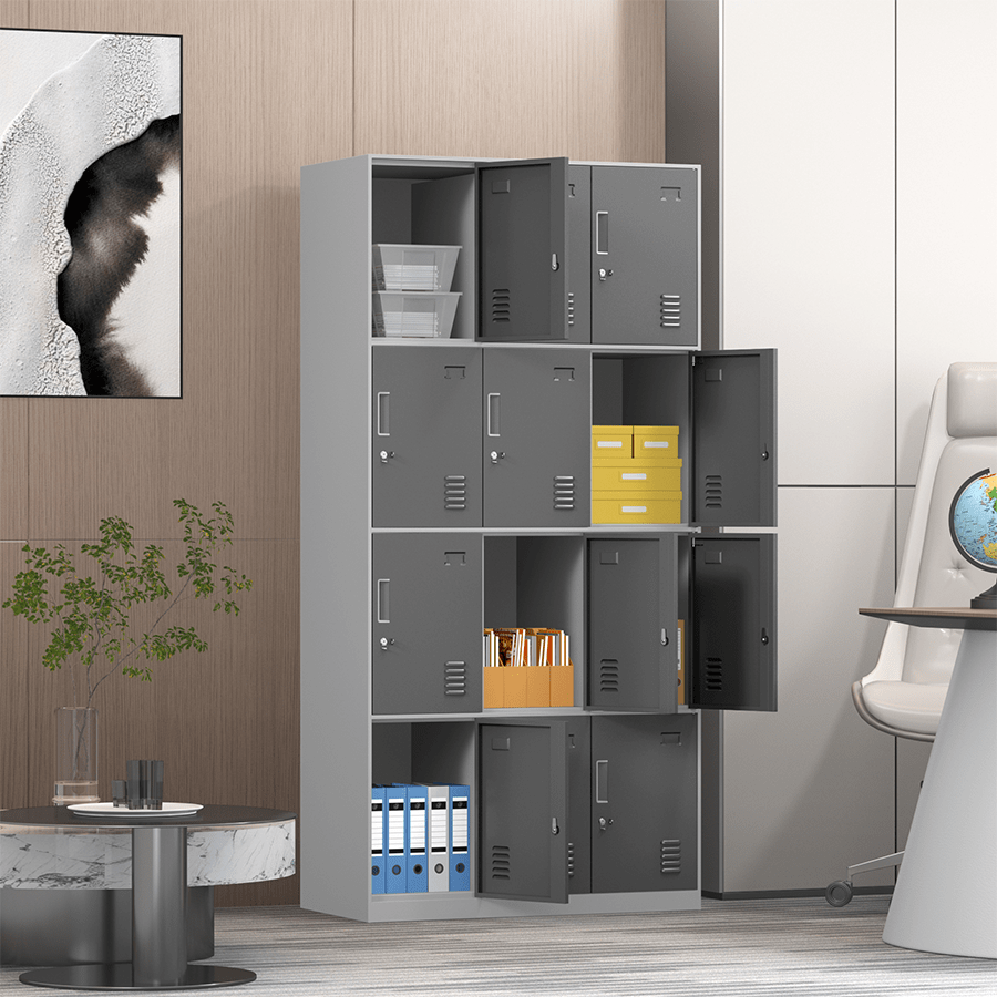 MORE HANLEY OPTIONS Hanley 12 Door Metal Locker Hanley 12 Door Metal Locker Mandaue Foam