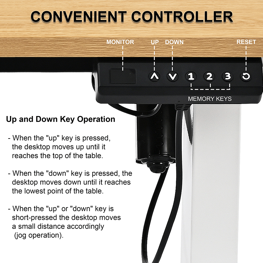 Indra Electrical Sit Stand Desk