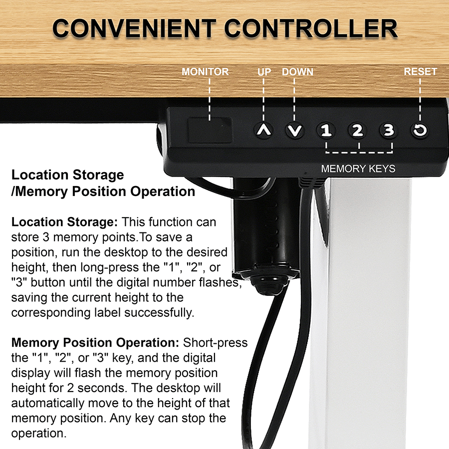 Indra Electrical Sit Stand Desk