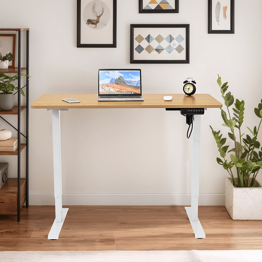 Indra Electrical Sit Stand Desk