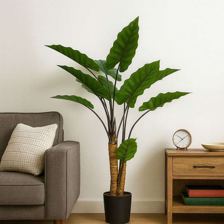 Ivory Coast Alocasia Potted Plant 160 cm