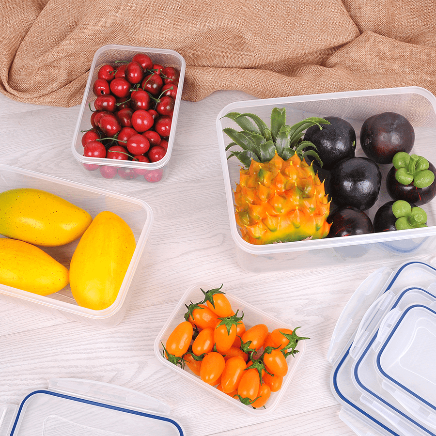 MORE KIPP OPTIONS Kipp Plastic Food Container Kipp Plastic Food Container Mandaue Foam