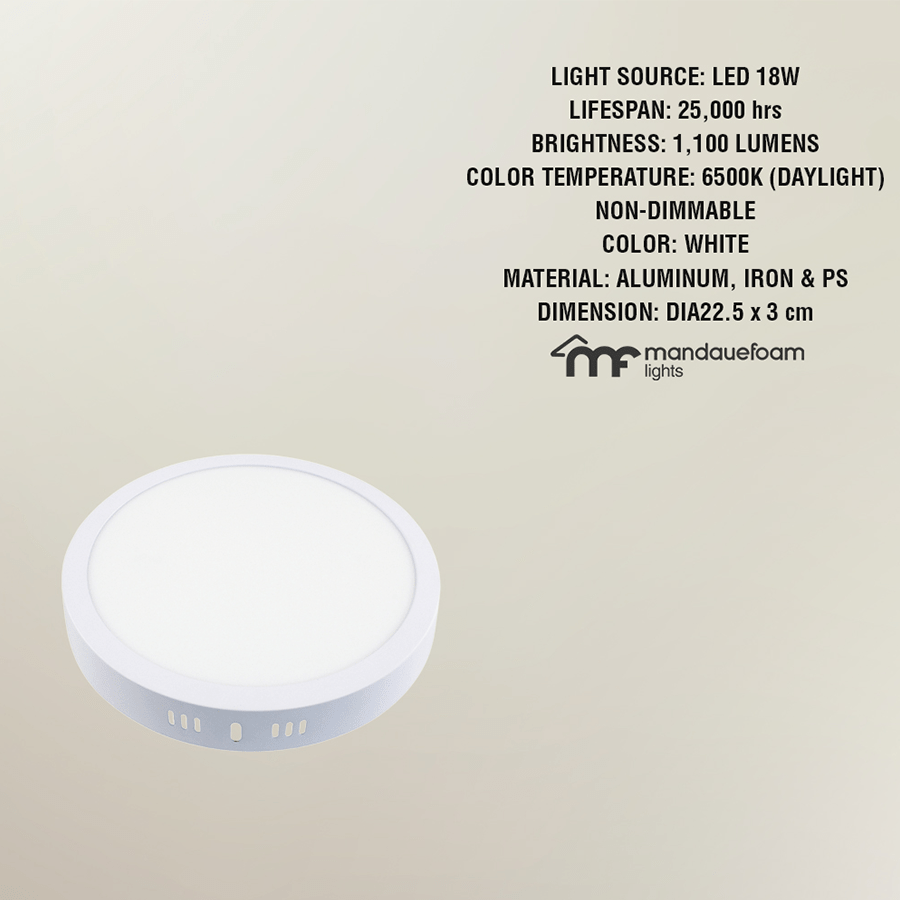 LED Surface Circle Mount Daylight LED Surface Circle Mount Daylight Mandaue Foam