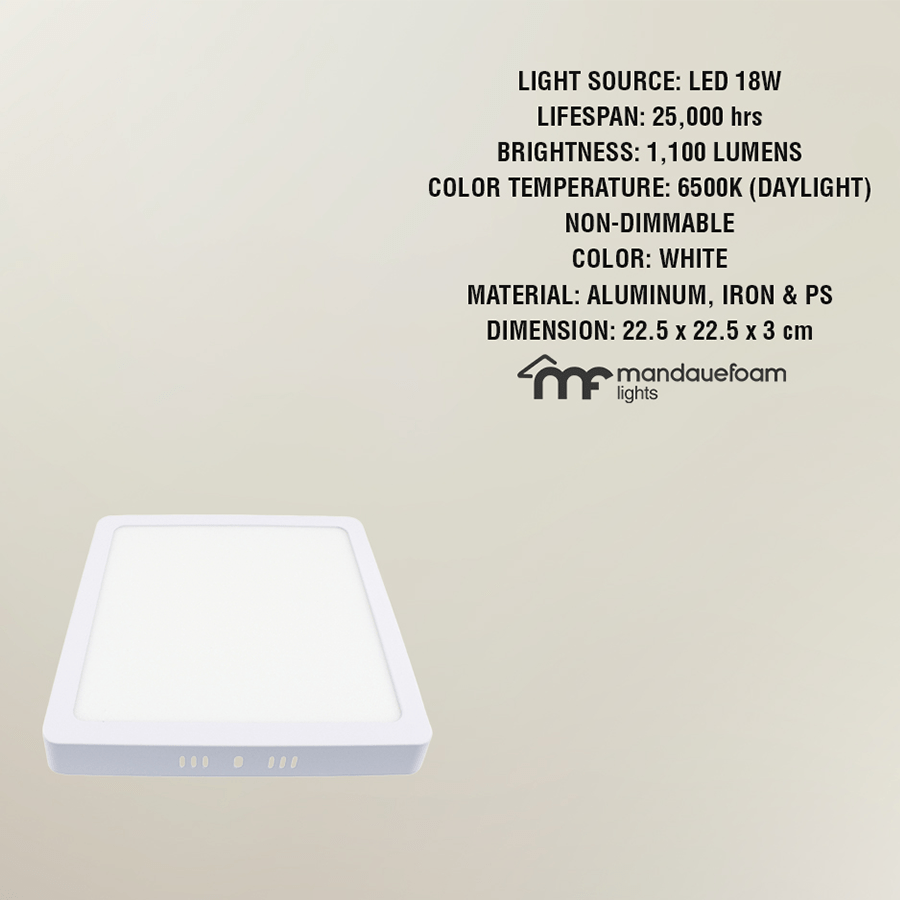 LED Surface Square Mount Daylight LED Surface Square Mount Daylight Mandaue Foam