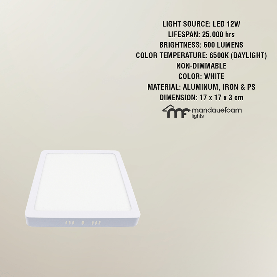 LED Surface Square Mount Daylight LED Surface Square Mount Daylight Mandaue Foam