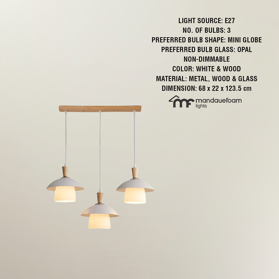 Makay Modern Light Fixture Makay Modern Light Fixture Mandaue Foam