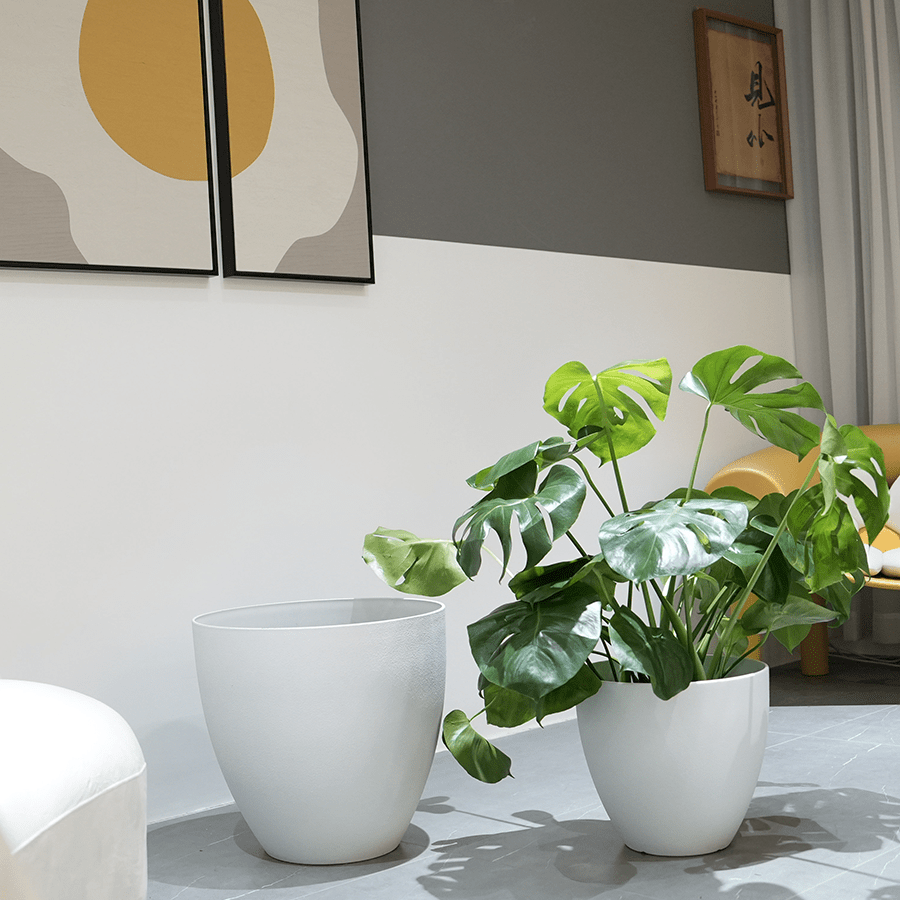 Misty Plastic Planter Misty Plastic Planter Mandaue Foam