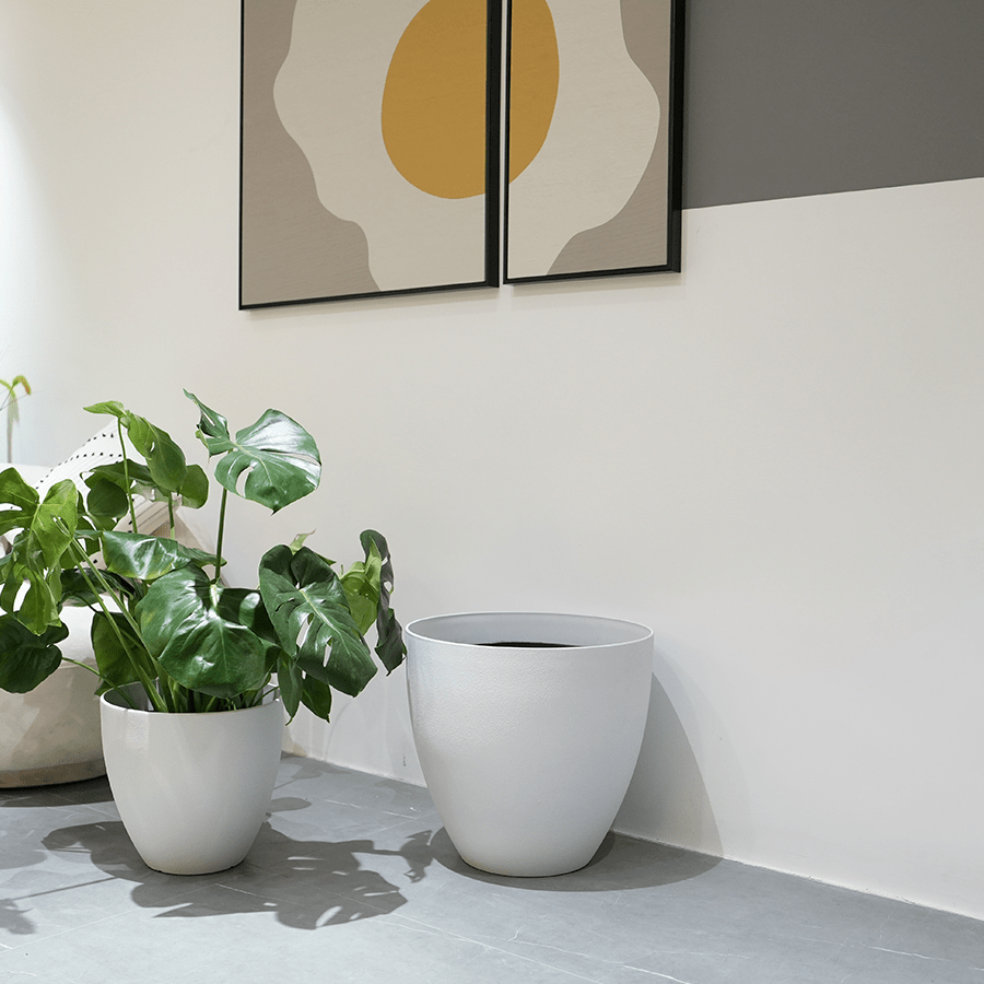 Misty Plastic Planter Misty Plastic Planter Mandaue Foam