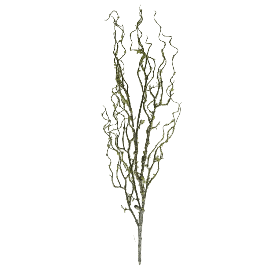 Moss Twigs Moss Twigs Mandaue Foam