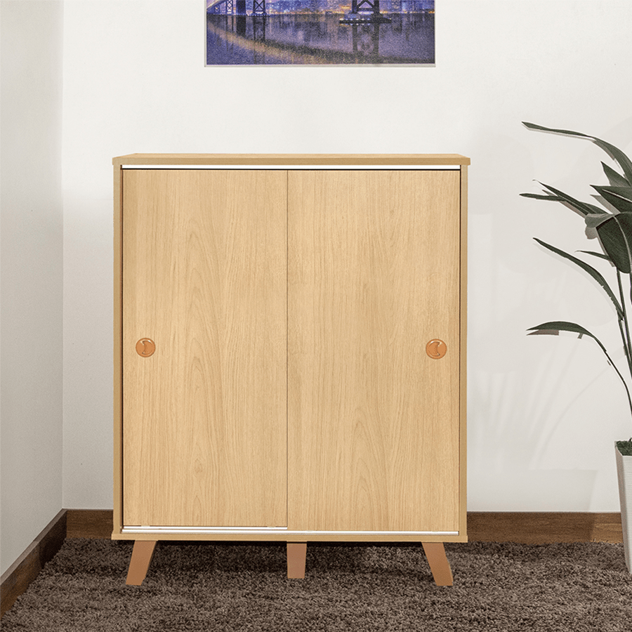 Nery Sliding Shoe Cabinet Nery Sliding Shoe Cabinet Mandaue Foam
