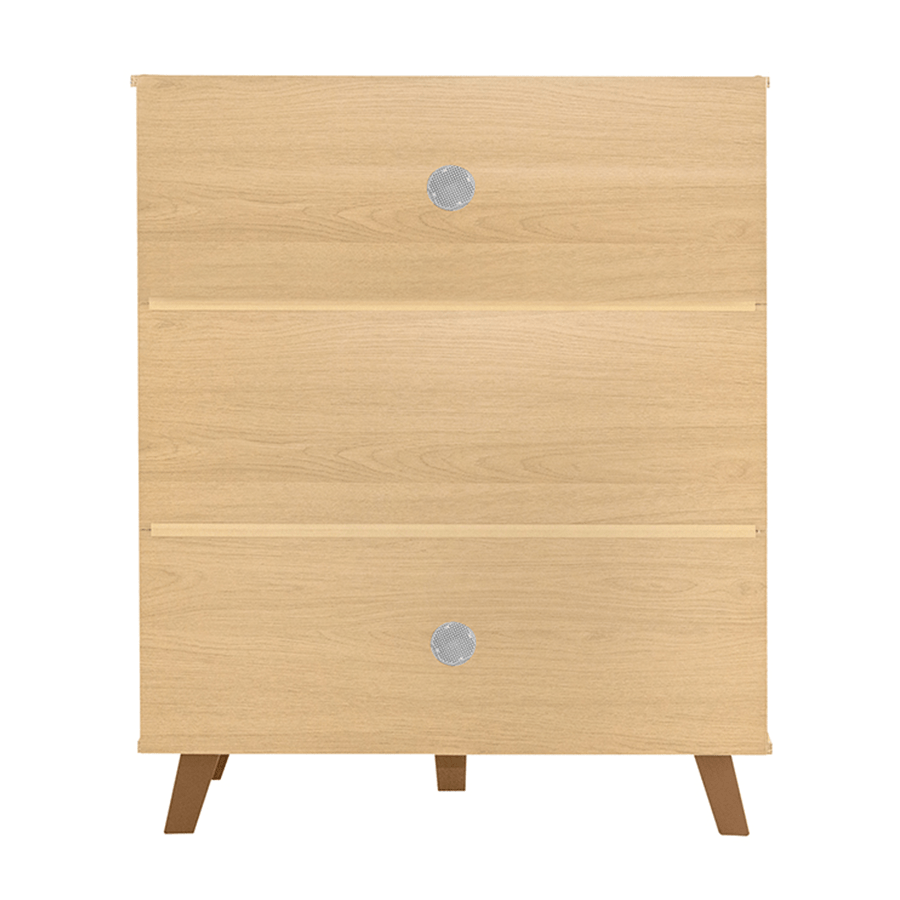 Nery Sliding Shoe Cabinet Nery Sliding Shoe Cabinet Mandaue Foam