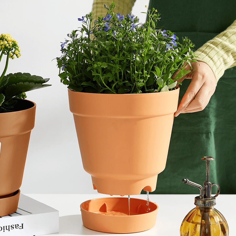 Noton Plastic Planter Noton Plastic Planter Mandaue Foam