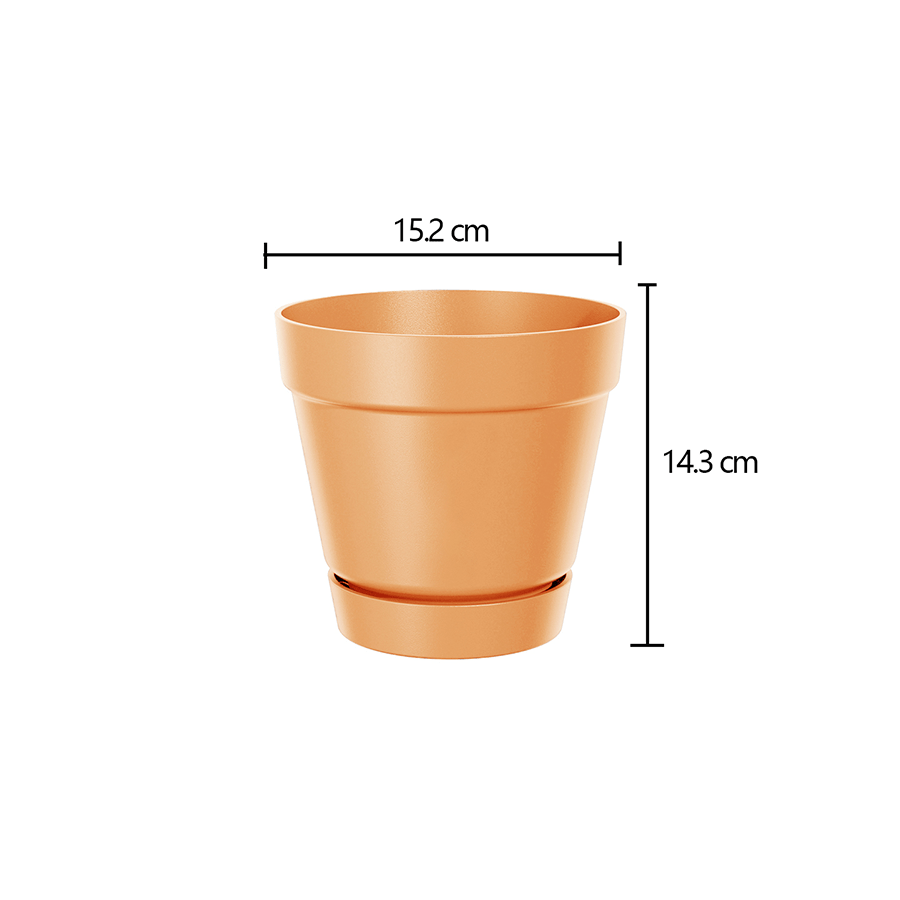 Noton Plastic Planter Noton Plastic Planter Mandaue Foam