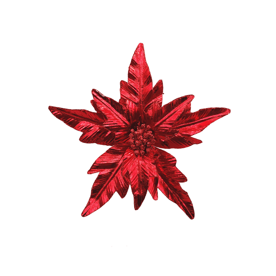 Poinsettia Poinsettia Mandaue Foam