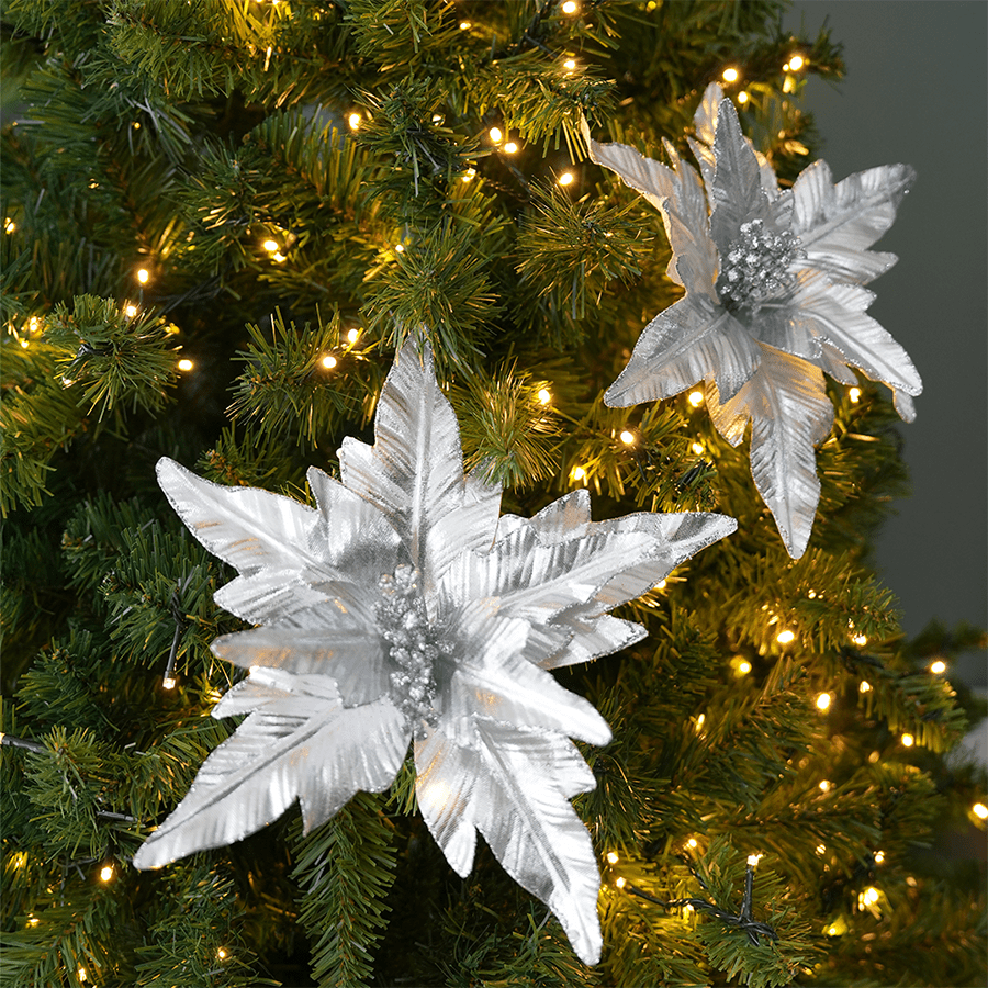 Poinsettia Poinsettia Mandaue Foam