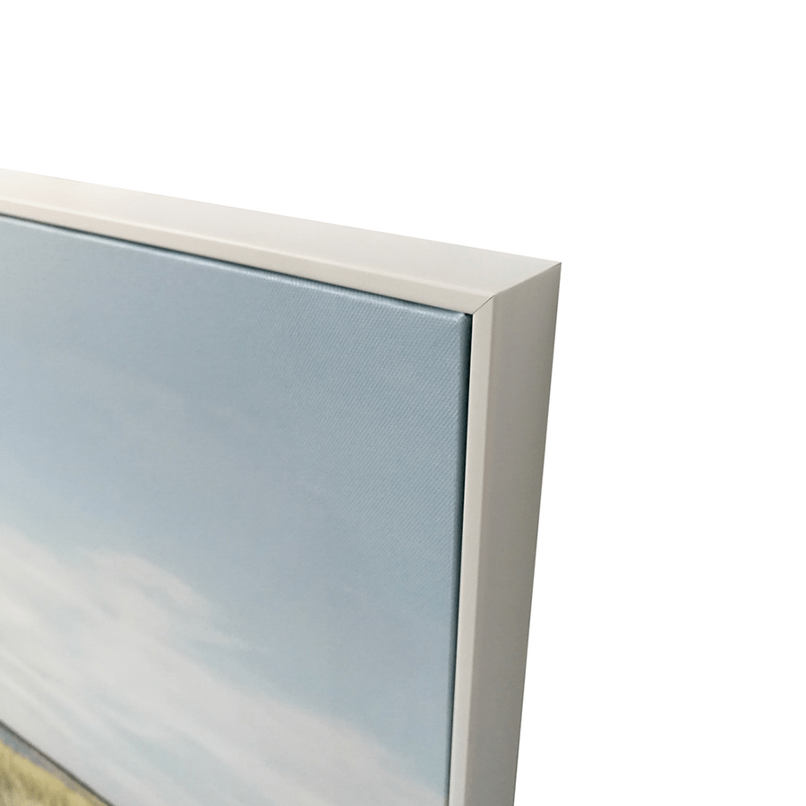 Rane Canvas Wall Art Rane Canvas Wall Art Mandaue Foam