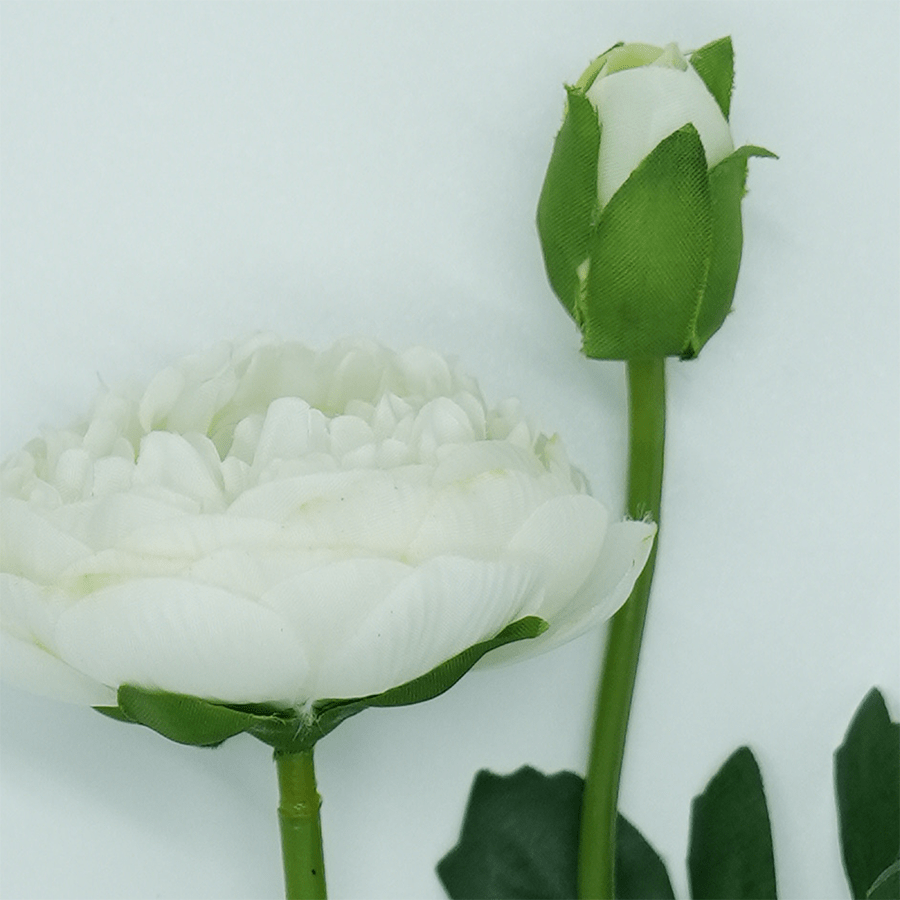 Ranunculous White Ranunculous White Mandaue Foam