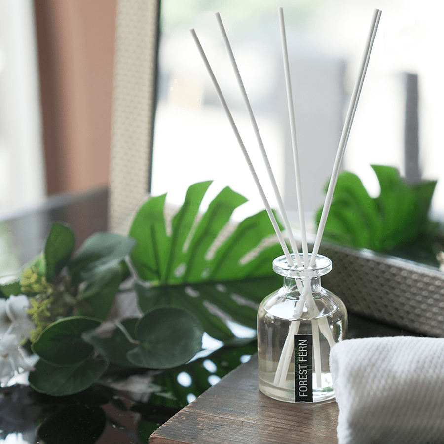 Reed Diffuser 100ml - Forest Fern