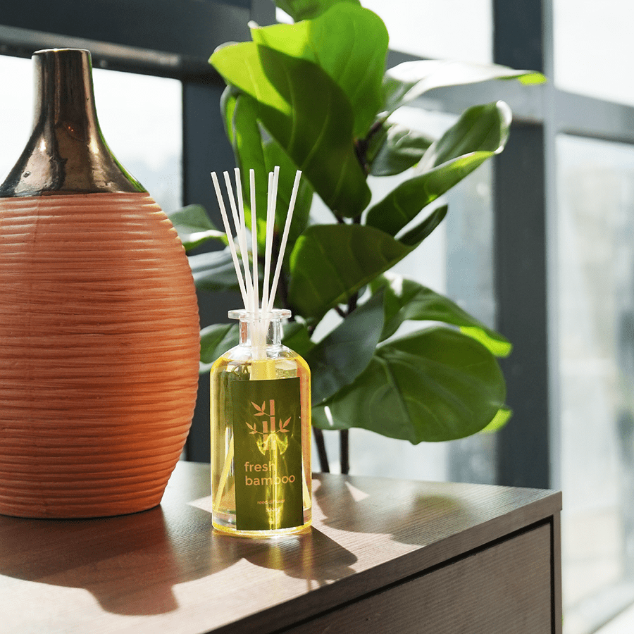 Reed Diffuser 300ml 5 sticks - Fresh Bamboo Reed Diffuser 300ml 5 sticks - Fresh Bamboo Mandaue Foam