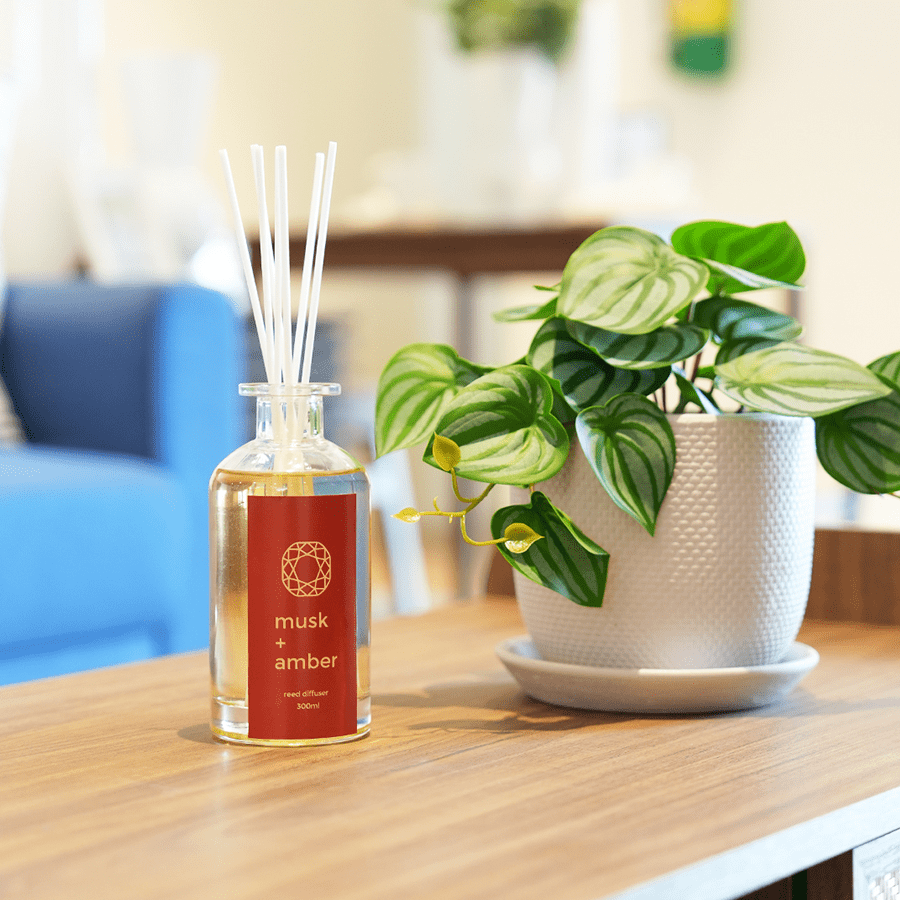 Reed Diffuser 300ml 5 sticks - Musk + Amber Reed Diffuser 300ml 5 sticks - Musk + Amber Mandaue Foam