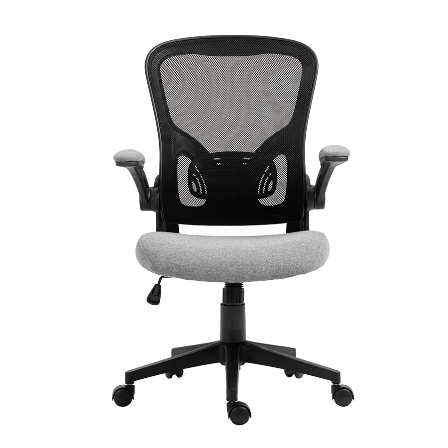 Remus Low Back Office Chair Remus Low Back Office Chair Mandaue Foam
