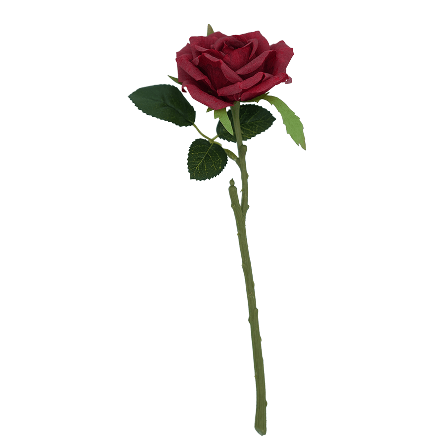 Rosette Red Rosette Red Mandaue Foam