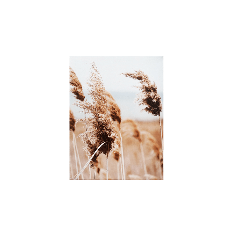 Runo Set of 5 Canvas Wall Art Runo Set of 5 Canvas Wall Art Mandaue Foam
