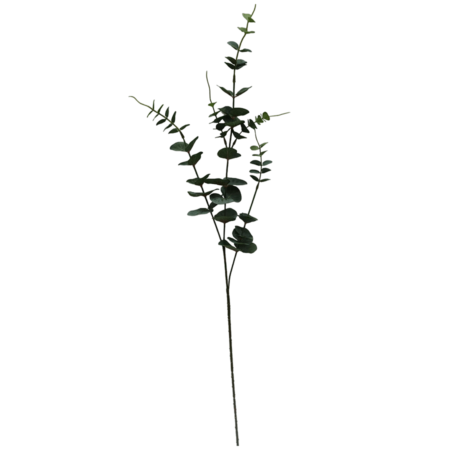 Spiral Eucalyptus Single Leaf Spiral Eucalyptus Single Leaf Mandaue Foam