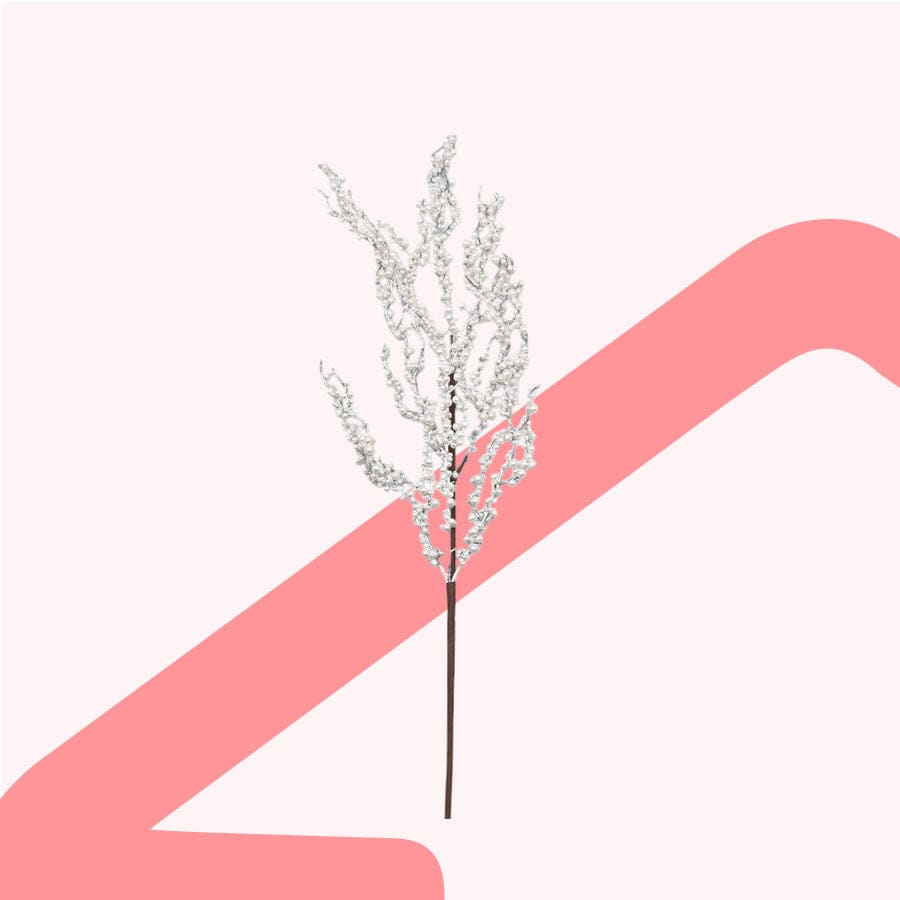 Viburnum White Berry