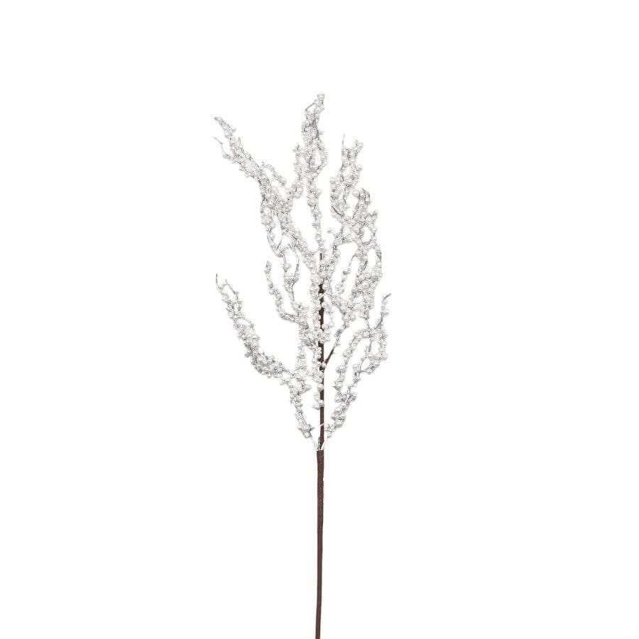 Viburnum White Berry