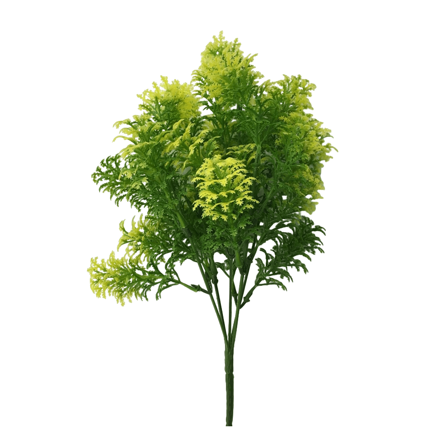 Water Grass Water Grass Mandaue Foam